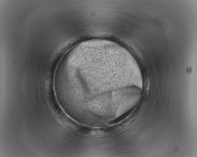 X0000090930591200708201830