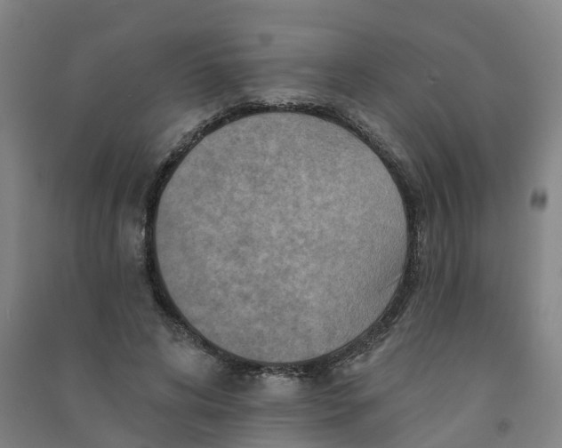 X0000090930592200708201830