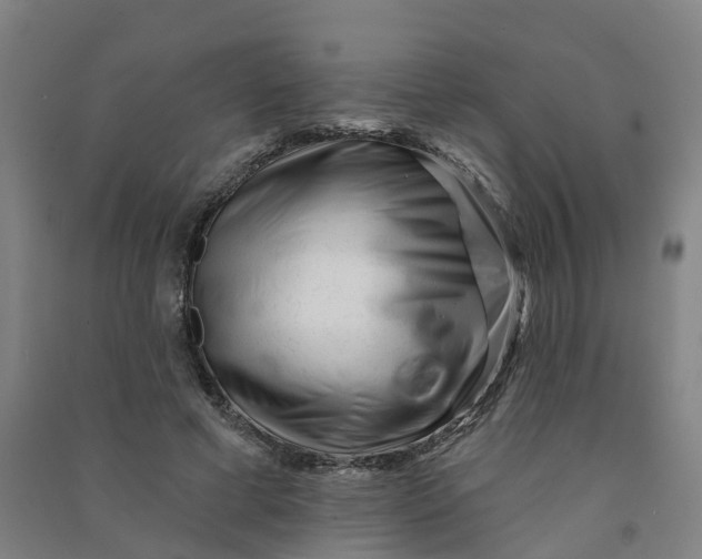 X0000090930593200708201830