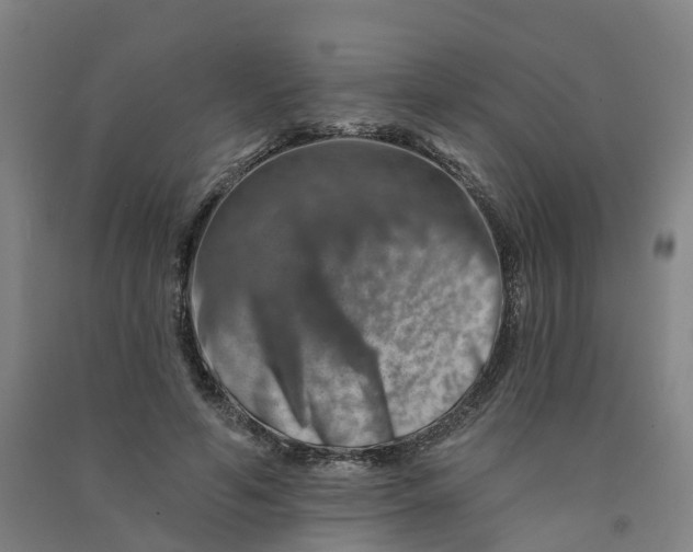 X0000090930594200708201830