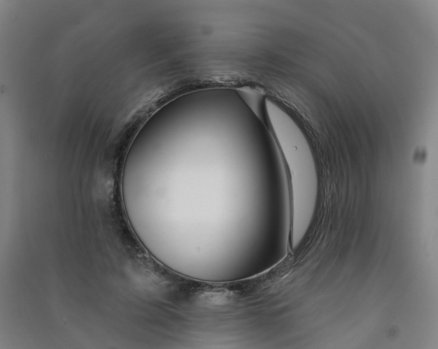 X0000090930595200708201830