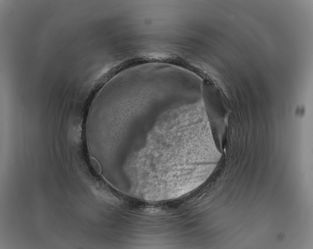 X0000090930596200708201830