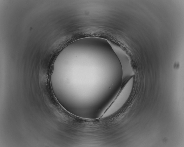 X0000090930597200708201830