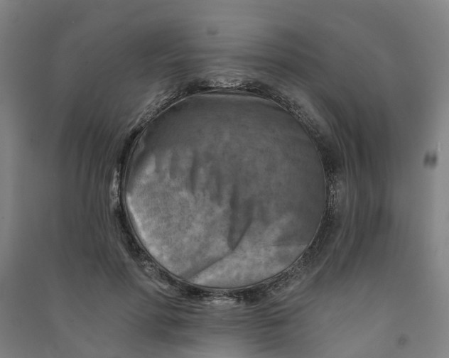 X0000090930598200708201830