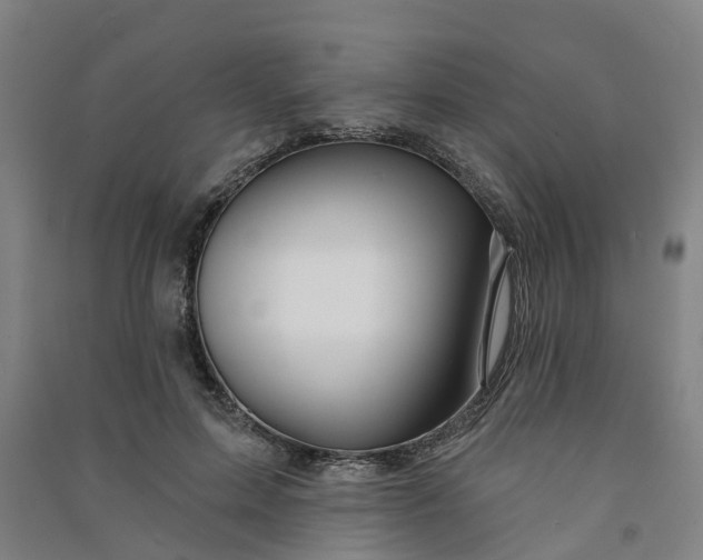 X0000090930599200708201830