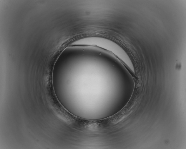 X0000090930600200708201830