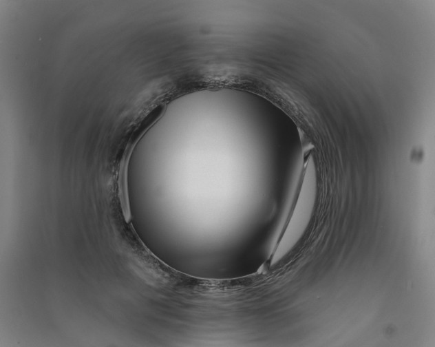 X0000090930601200708201830