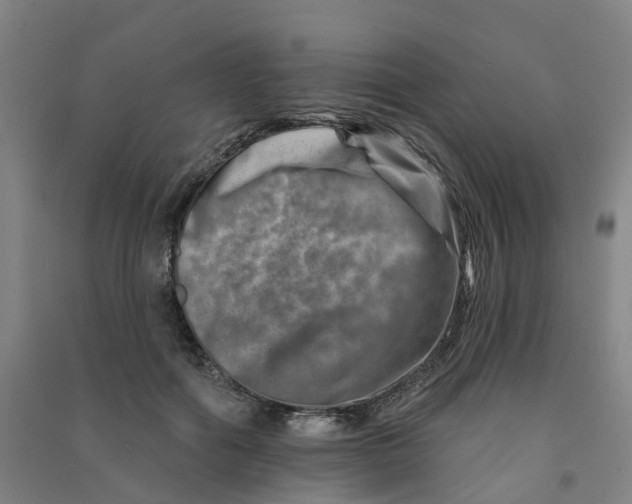 X0000090930602200708201830