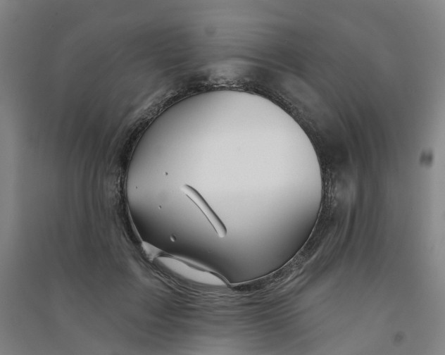 X0000090930603200708201830