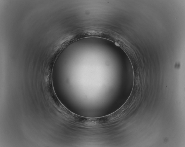 X0000090930604200708201830