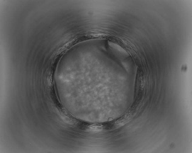 X0000090930606200708201830