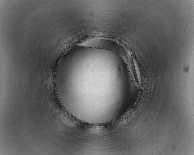 X0000090930609200708201830