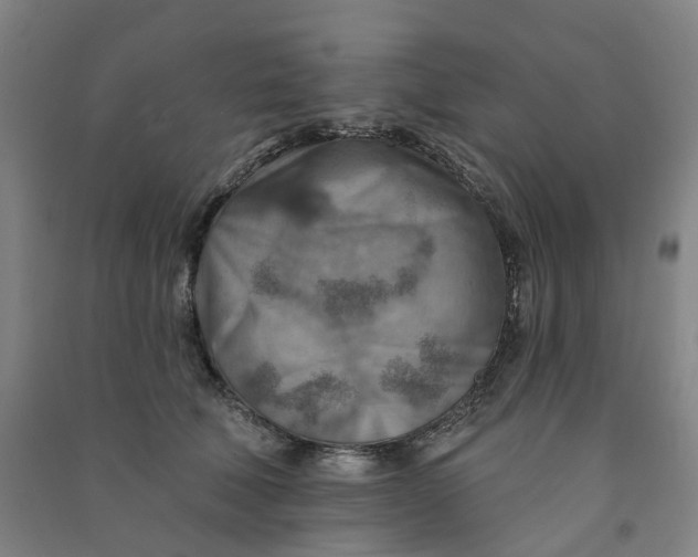 X0000090930610200708201830