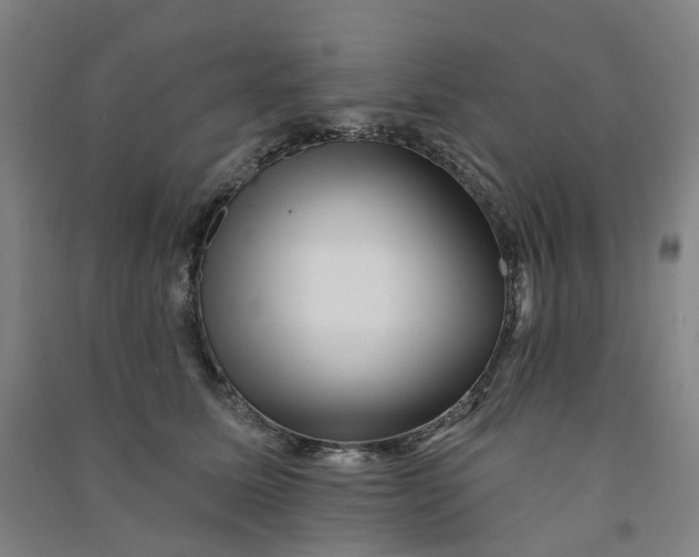 X0000090930611200708201830