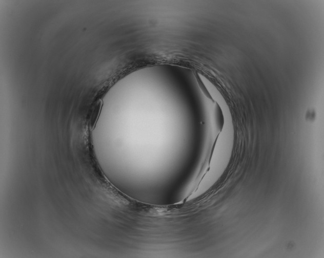 X0000090930613200708201830