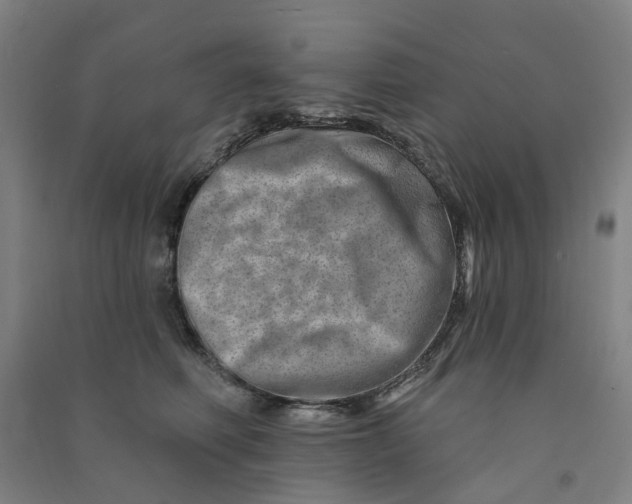 X0000090930614200708201830