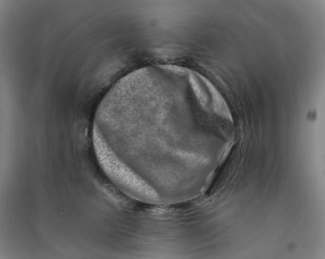 X0000090930615200708201830