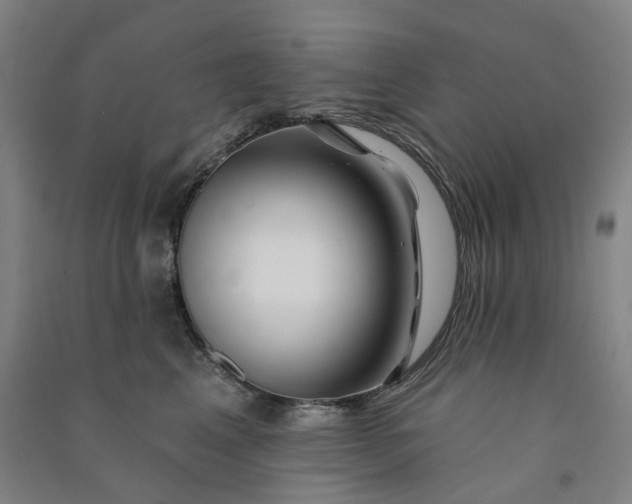 X0000090930617200708201829