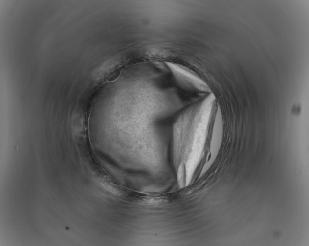 X0000090930619200708201829