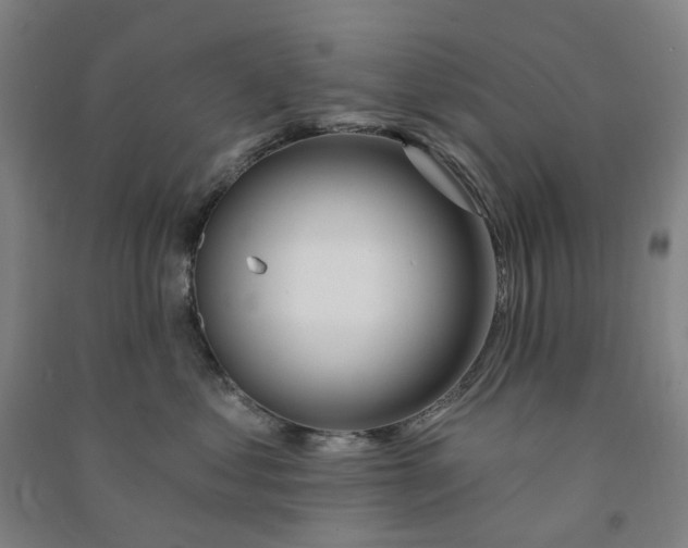 X0000090930621200708201829