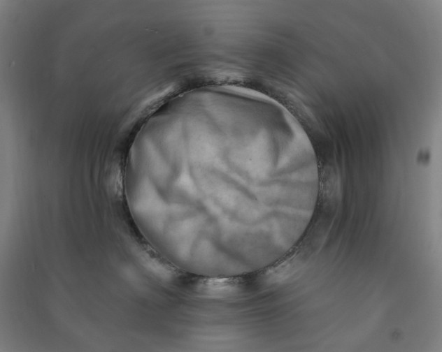 X0000090930622200708201829