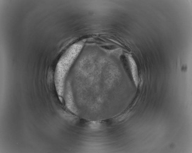 X0000090930623200708201829