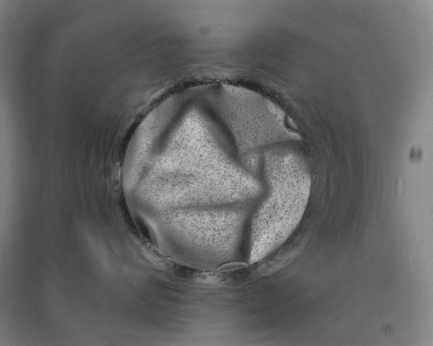 X0000090930624200708201829