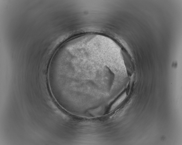 X0000090930625200708201829