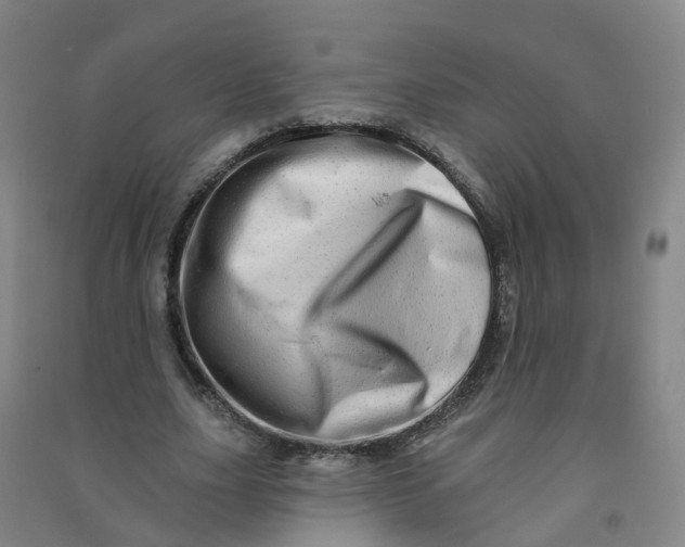 X0000090930631200708201829