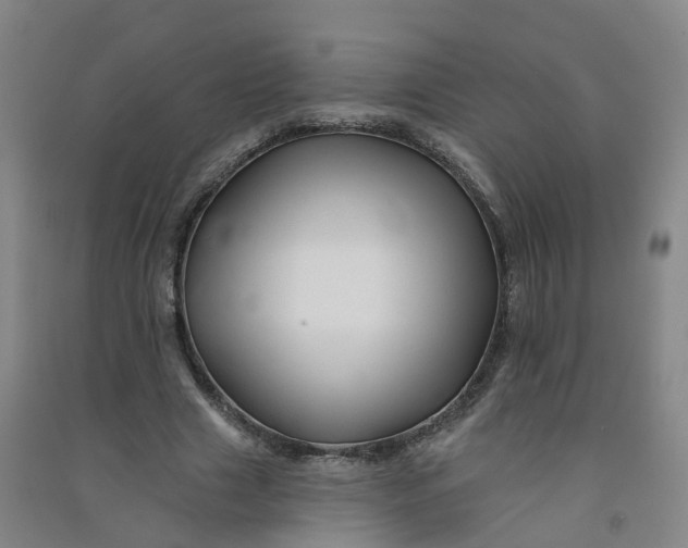 X0000090930633200708201829