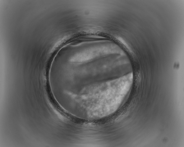 X0000090930634200708201829