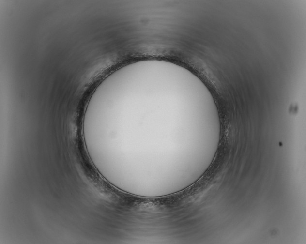 X0000090930635200708201829