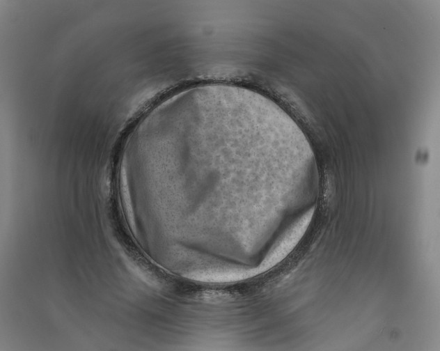 X0000090930636200708201829