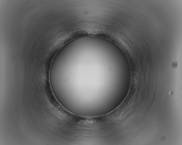 X0000090930639200708201829