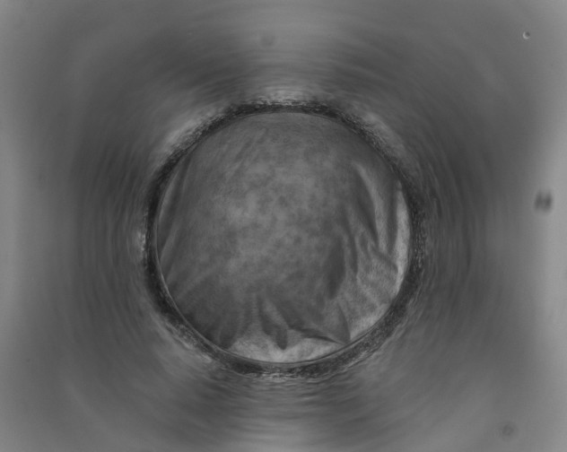 X0000090930640200708201829