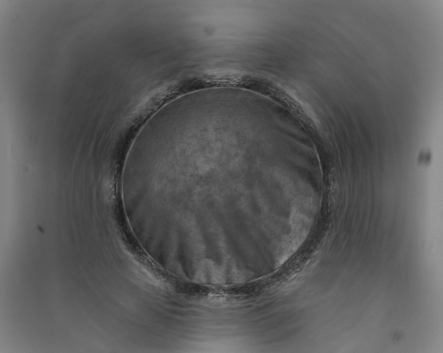 X0000090930641200708201829