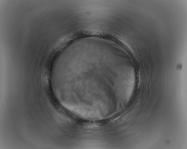 X0000090930643200708201829