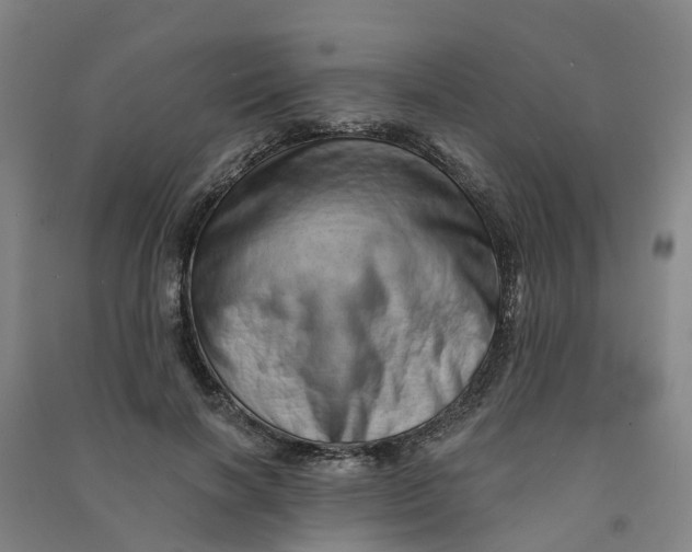 X0000090930646200708201829