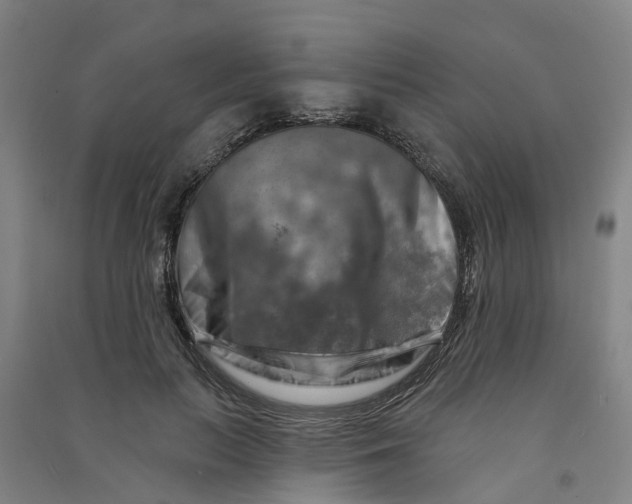 X0000090930647200708201829