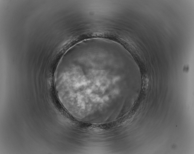 X0000090930648200708201829