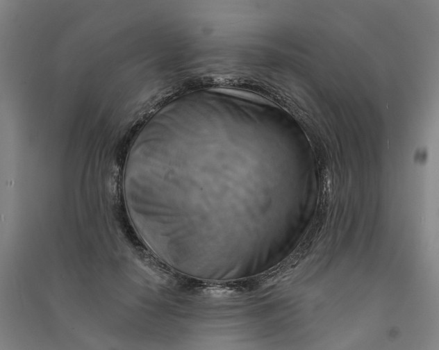 X0000090930650200708201829