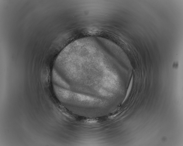 X0000090930651200708201829