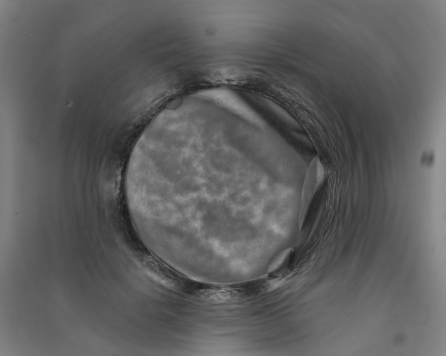 X0000090930652200708201829