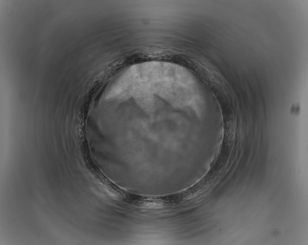 X0000090930653200708201829