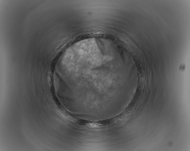 X0000090930654200708201829