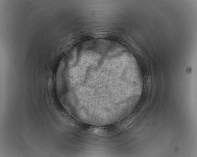 X0000090930655200708201829