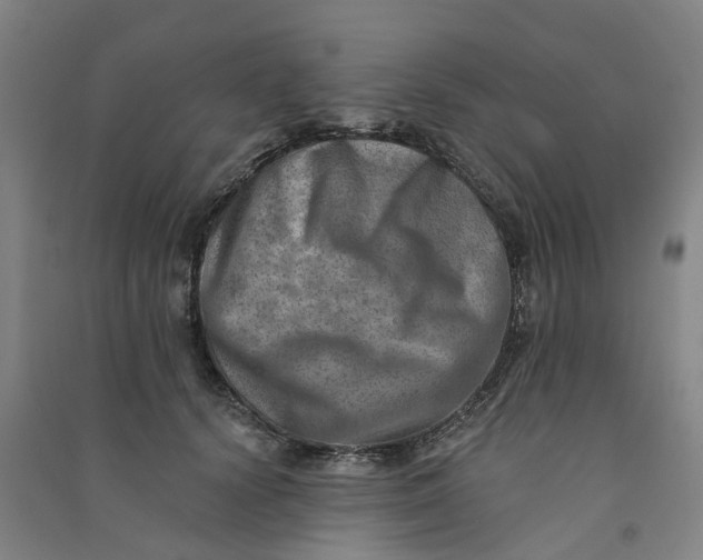 X0000090930656200708201829