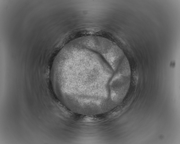 X0000090930657200708201829