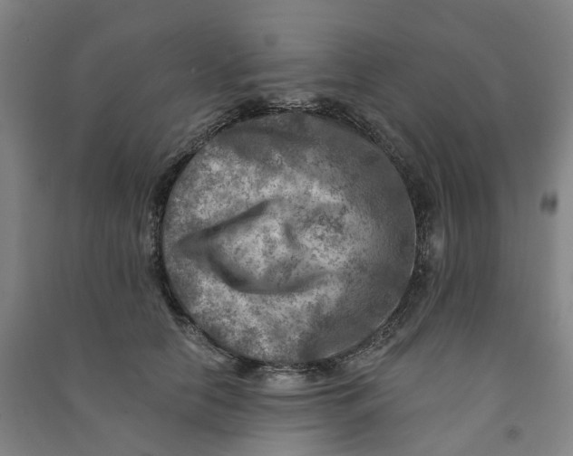 X0000090930658200708201829