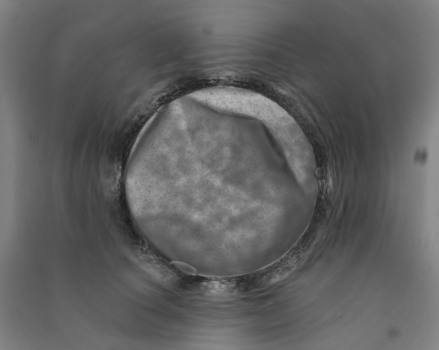 X0000090930660200708201829